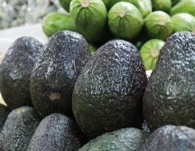 De acuerdo con la Secretaría de Agricultura, Jalisco exporta más de 113 mil toneladas anuales del fruto a 30 países. NTX / ARCHIVO