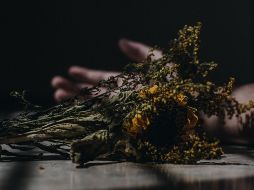 ESPECIAL/Foto de César Abner Martínez Aguilar en Unsplash