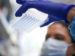 Jalisco ha recibido 11 millones 798 mil 387 dosis del biológico, hasta el último corte. EFE/ARCHIVO