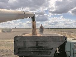 La distribución del alimento ayudará con la carestía mundial, además de bajar los precios. EFE