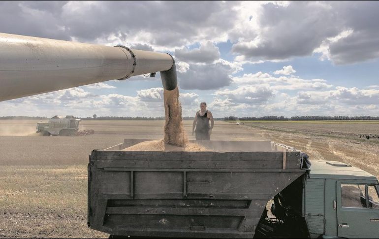La distribución del alimento ayudará con la carestía mundial, además de bajar los precios. EFE