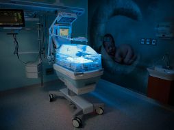 Trabajadores de mantenimiento de Florida, escucharon un llanto leve proveniente del contenedor y rescataron a una bebé recién nacida. EL INFORMADOR / ARCHIVO