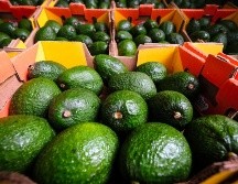 El año pasado se exportaron 113 mil toneladas de aguacate jalisciense a 30 países. ESPECIAL / Gobierno de Jalisco
