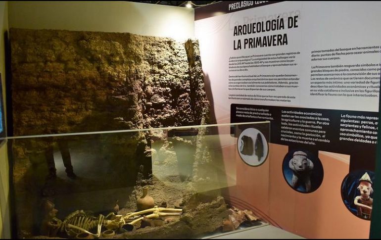 La muestra permanecerá abierta al público de forma gratuita hasta abril de 2023 en el Museo de Paleontología. ESPECIAL/Gobierno de Guadalajara
