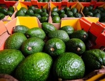 Durante la temporada de julio 2022 a marzo 2023, los productores jaliscienses esperan enviar alrededor de 100 mil toneladas al mercado estadounidense. ESPECIAL