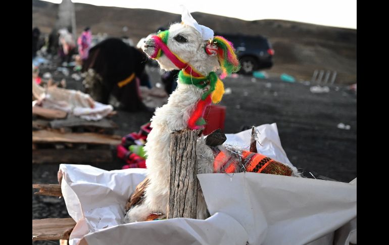 Un chamán lanza chorros de cerveza alrededor de una fogata, en la que arden frutas, dulces, incienso y raíces, para que la Pachamama retribuya con salud y prosperidad a sus devotos. AFP/A. Raldes