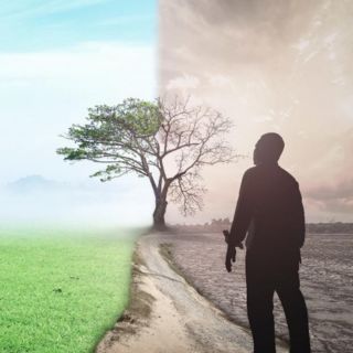 La advertencia científica sobre el riesgo de la extinción humana por una catástrofe climática