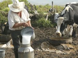 El litro de leche que el Gobierno compra a los productores subirá de 9.20 a 10 pesos. EL INFORMADOR / ARCHIVO