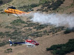 El incendio se extendió rápidamente montaña arriba y había quemado menos de 1.5 kilómetros cuadrados para el martes. AP/K. Murphy