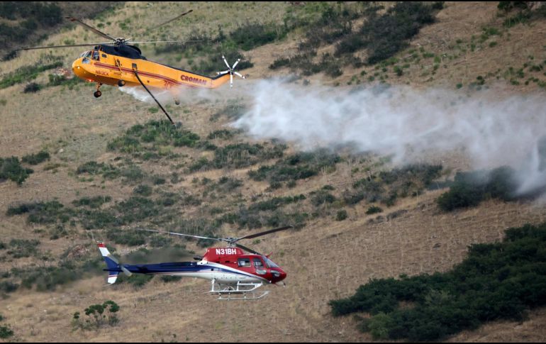 El incendio se extendió rápidamente montaña arriba y había quemado menos de 1.5 kilómetros cuadrados para el martes. AP/K. Murphy