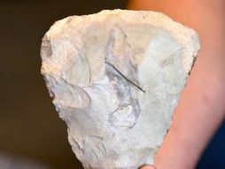 De este modo, realizó un llamado a la población en general a evitar ser partícipes del saqueo de sitios patrimoniales y del tráfico ilícito de bienes históricos y arqueológicos. CORTESÍA / INAH