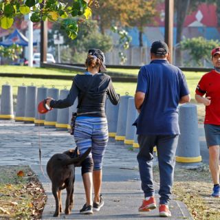 Realizar actividades físicas y mentales reduciría riesgo de demencia, según estudio