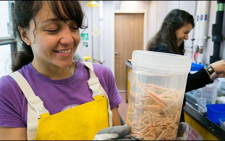 Guadalupe Bribiesca-Contreras es bióloga marina e investigadora del Museo de Historia Natural de Londres. GUADALUPE BRIBIESCA-CONTRERAS