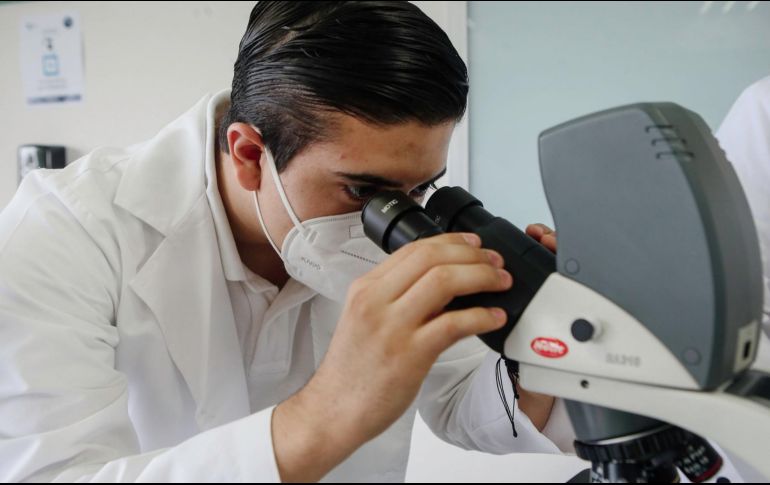 Los científicos fueron capaces de crear órganos a partir de células madre. SUN/ARCHIVO