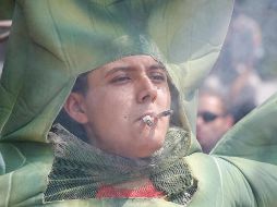 La marihuana y sus usos siguen abriendo debates a lo largo del mundo. EL INFORMADOR/ARCHIVO