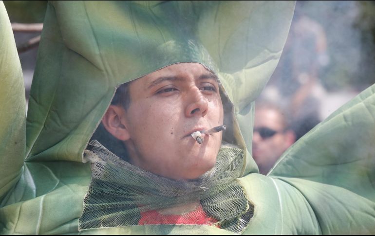 La marihuana y sus usos siguen abriendo debates a lo largo del mundo. EL INFORMADOR/ARCHIVO