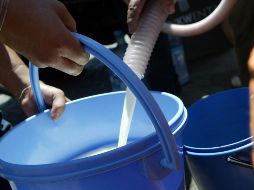 Comparar precios es importante para tener menos gastos al adquirir alimentos. EL INFORMADOR/ARCHIVO