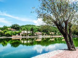 Foto: Cortesía Jalisco es México