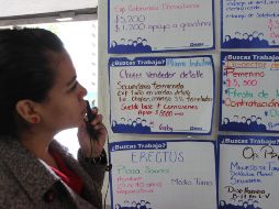 Los tres municipios de Jalisco que más generaron empleo formal durante julio en términos absolutos fueron Zapopan, Puerto Vallarta y Guadalajara. EL INFORMADOR/ARCHIVO