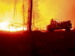 Las llamas han acabado con cientos de hectáreas este año. EFE