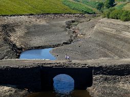 Los científicos aseguran que estas olas de calor van a multiplicarse y prolongarse debido al calentamiento global. AP / D. Lawson