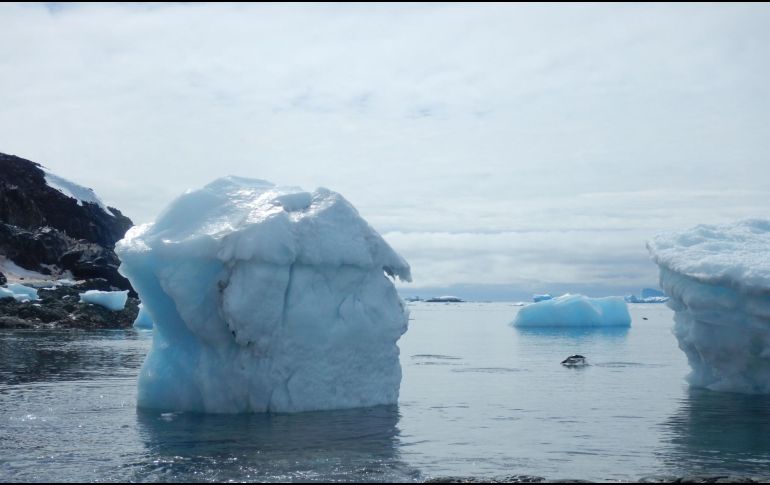 Los hallazos permiten conocer más sobre cómo vivián los grupos humanos en periodos desde 12 mil hasta 23 mil años atrás. EFE/ARCHIVO
