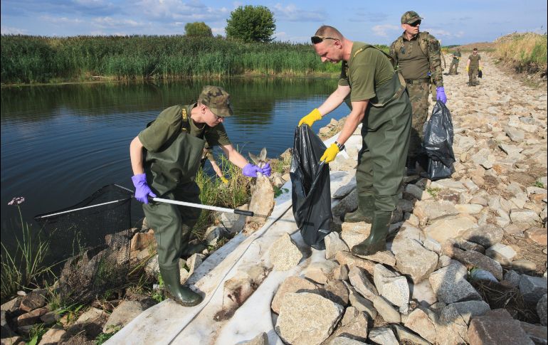 Las autoridades investigan la causa de la muerte masiva de peces. AFP/O. Andersen