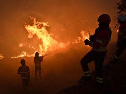 El fuego cerca de Burdeos comenzó en julio, el mes más seco en Francia desde 1961, y destruyó 14 mil hectáreas. EFE/N. Ferreira