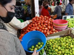 El costo promedio del kilo de jitomate se redujo en un 5.3%. EL INFORMADOR/ Archivo