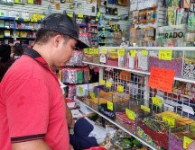 Casi tres mil pesos tienen que desembolsar los padres de familia para la lista de útiles en la zona Centro del país. EL INFORMADOR/ J. VELAZCO