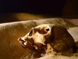 BELIZE TOURISM BOARD