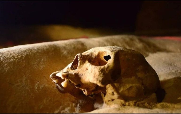 BELIZE TOURISM BOARD