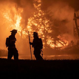 Argelia: Incendios forestales dejan 26 muertos en el norte del país