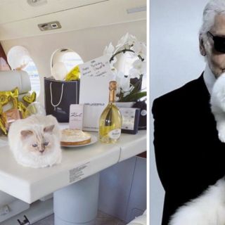 ¡Como una Kardashian! La gatita del difunto diseñador Karl Lagerfeld celebra su cumpleaños en un jet privado