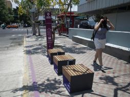 Ayer se conmemoró el Día Mundial del Peatón. EL INFORMADOR/Archivo