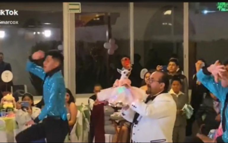 En la grabación que se volvió viral en TikTok se aprecia a la perrita, que “baila” junto a su probable dueño. TikTok / xpapimarcox