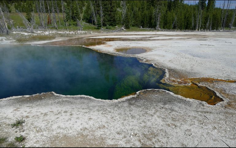 Los accidentes no son raros en las piscinas termales que salpican el parque nacional más antiguo de Estados Unidos. AP/D. Renkin