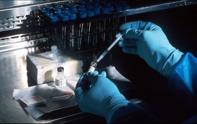 Los niños diagnosticados con el virus del tomate dieron negativo a dengue, chikungunya, zika y varicela-zoster. ESPECIAL/Foto de National Cancer Institute en Unsplash