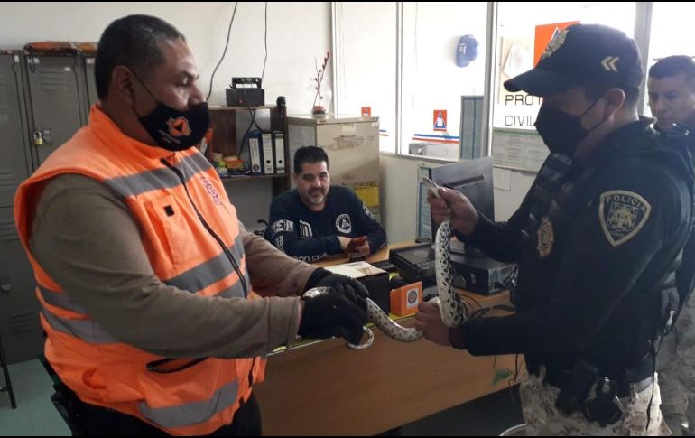 No se reportaron usuarios lesionados ni otros percances. TWITTER/@MetroCDMX