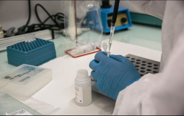 La viruela del mono es una enfermedad infecciosa rara que se propaga entre especies, incluso de animales a humanos. AFP / ARCHIVO