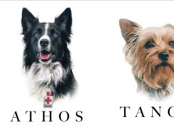 Athos y Tango murieron tras comer salchichas envenenadas hace un año; hoy finalmente se hizo justicia. ESPECIAL
