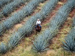 La magia de Jalisco: De visita en Tequila y San Sebastián del Oeste