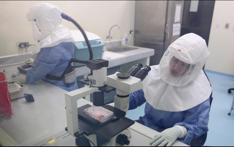 El 60% de los casos del mes pasado se produjeron en el continente americano, dijo la OMS, y el 38% en Europa. EFE / ARCHIVO