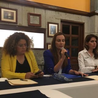 Luz Raquel: PRI, PAN y PRD piden revisión a peritaje del caso