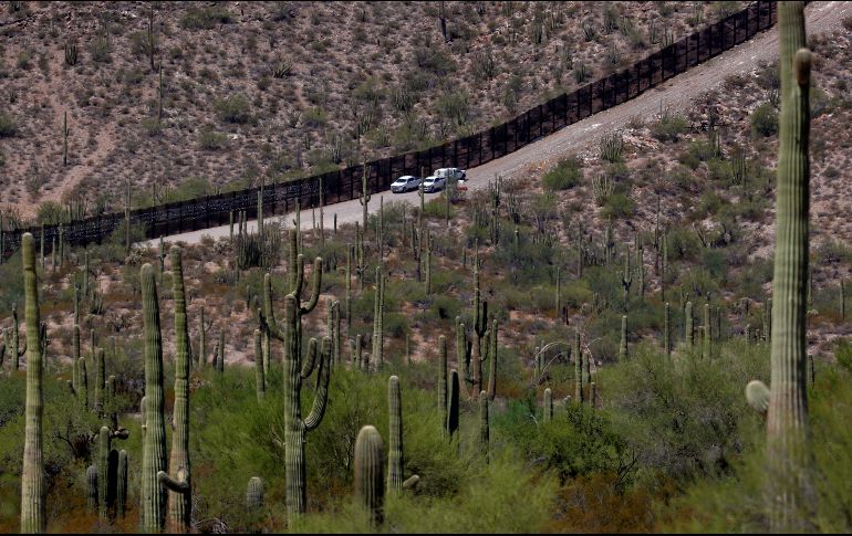 Los bebés fueron encontrados en el Parque Nacional del Cactus de Tubo de Órgano. AP/ARCHIVO
