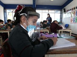 Con este modelo, se realizarán pruebas de antígeno, que a diferencia de las PCR, detectan proteínas virales y los resultados se obtienen entre 15 y 20 minutos. EL INFORMADOR / ARCHIVO