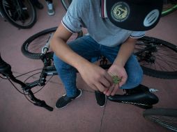 En los fraccionamientos periurbanos y en las colonias populares se observa con más fuerza esta problemática de seguridad y salud pública. EL INFORMADOR/Archivo