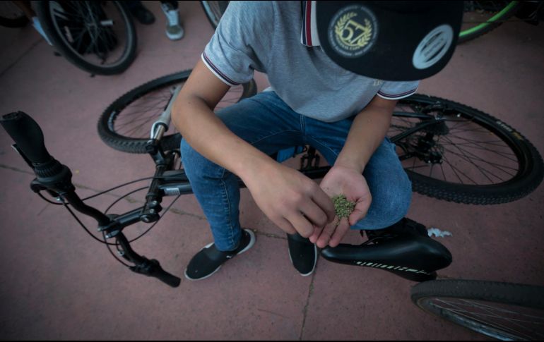 En los fraccionamientos periurbanos y en las colonias populares se observa con más fuerza esta problemática de seguridad y salud pública. EL INFORMADOR/Archivo