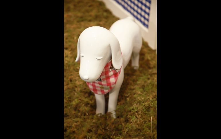 Art Pet Collection. GENTE BIEN JALISCO/Antonio Martínez