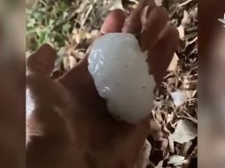 ESPECIAL/CAPTURA DE VIDEO